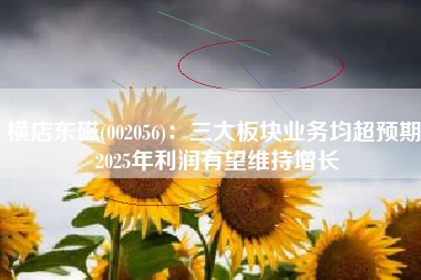 横店东磁(002056)：三大板块业务均超预期 2025年利润有望维持增长