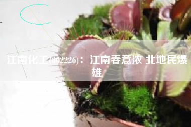 江南化工(002226)：江南春意浓 北地民爆雄