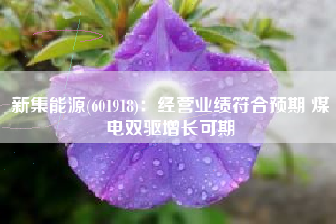 新集能源(601918)：经营业绩符合预期 煤电双驱增长可期
