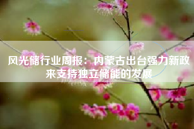 风光储行业周报：内蒙古出台强力新政来支持独立储能的发展