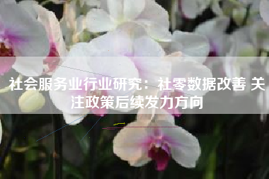 社会服务业行业研究：社零数据改善 关注政策后续发力方向