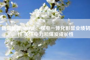 新集能源(601918)：煤电一体化彰显业绩韧性 关注电力和煤炭成长性