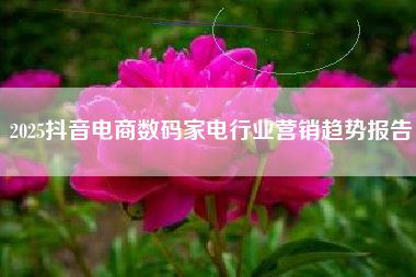 2025抖音电商数码家电行业营销趋势报告