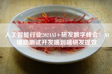 人工智能行业2024AI+研发数字峰会：AI辅助测试开发端到端研发提效