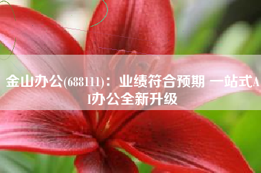 金山办公(688111)：业绩符合预期 一站式AI办公全新升级