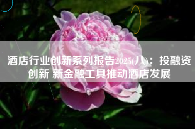 酒店行业创新系列报告2025(八)：投融资创新 新金融工具推动酒店发展