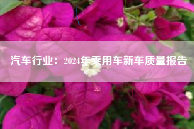 汽车行业：2024年乘用车新车质量报告