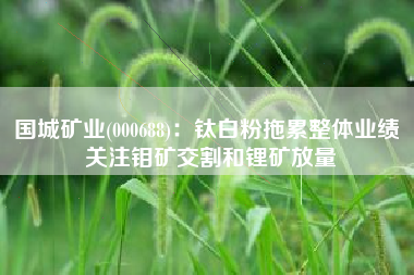 国城矿业(000688)：钛白粉拖累整体业绩 关注钼矿交割和锂矿放量