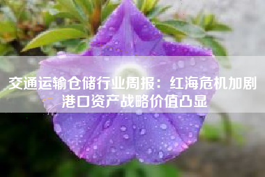 交通运输仓储行业周报：红海危机加剧 港口资产战略价值凸显