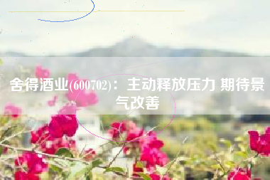 舍得酒业(600702)：主动释放压力 期待景气改善