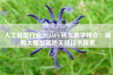人工智能行业2024AI+研发数字峰会：端侧大模型落地关键技术探索