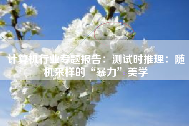 计算机行业专题报告:测试时推理:随机采样的“暴力”美学 计算机行业专题报告:测试时推理:随机采样的“暴力”美学