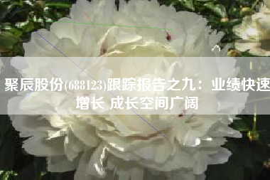 聚辰股份(688123)跟踪报告之九：业绩快速增长 成长空间广阔
