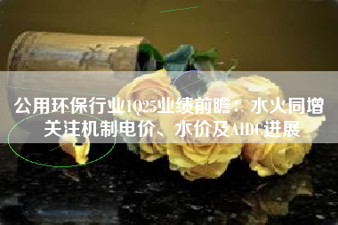 公用环保行业1Q25业绩前瞻：水火同增 关注机制电价、水价及AIDC进展