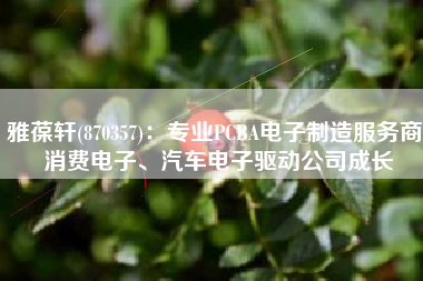 雅葆轩(870357)：专业PCBA电子制造服务商 消费电子、汽车电子驱动公司成长