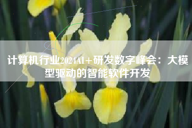 计算机行业2024AI+研发数字峰会：大模型驱动的智能软件开发