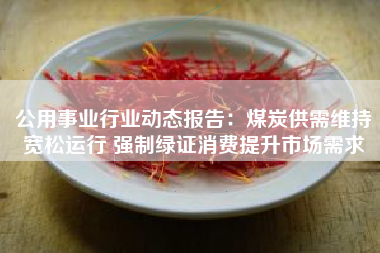 公用事业行业动态报告：煤炭供需维持宽松运行 强制绿证消费提升市场需求