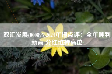 双汇发展(000895)2024年报点评：全年吨利新高 分红维持高位