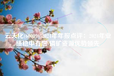 云天化(600096)2024年年报点评：2024年业绩稳中有增 磷矿资源优势领先