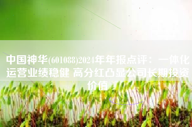 中国神华(601088)2024年年报点评：一体化运营业绩稳健 高分红凸显公司长期投资价值
