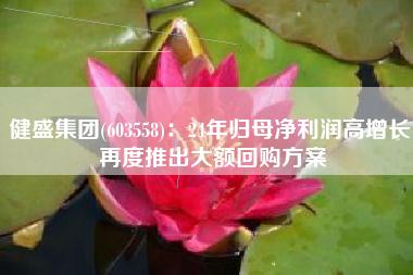 健盛集团(603558)：24年归母净利润高增长 再度推出大额回购方案
