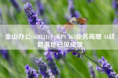 金山办公(688111)：WPS 365业务高增 AI战略落地已见成效