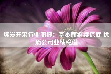煤炭开采行业周报：基本面继续探底 优质公司业绩稳健