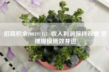 招商积余(001914)：收入利润保持双增 管理规模质效并进