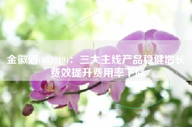 金徽酒(603919)：三大主线产品稳健增长 费效提升费用率下降