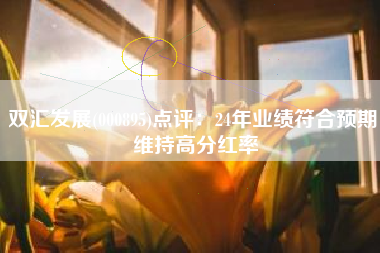 双汇发展(000895)点评：24年业绩符合预期 维持高分红率