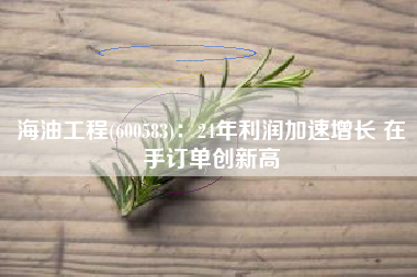 海油工程(600583)：24年利润加速增长 在手订单创新高