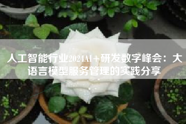 人工智能行业2024AI+研发数字峰会：大语言模型服务管理的实践分享