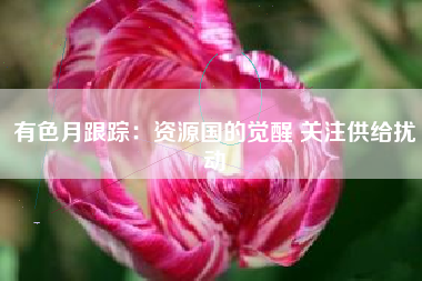 有色月跟踪：资源国的觉醒 关注供给扰动