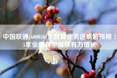 中国联通(600050)：智算业务进展超预期 25年业绩有望继续有力增长