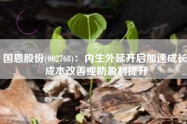 国恩股份(002768)：内生外延开启加速成长 成本改善或助盈利提升