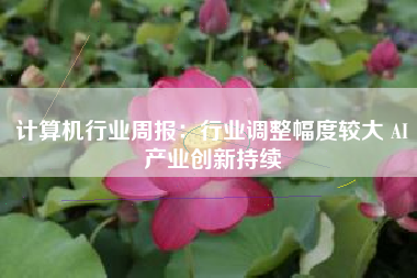 计算机行业周报：行业调整幅度较大 AI产业创新持续