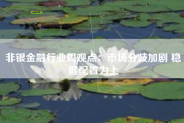 非银金融行业周观点：市场分歧加剧 稳健配置为上