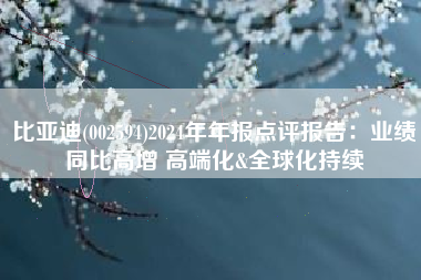比亚迪(002594)2024年年报点评报告：业绩同比高增 高端化&全球化持续