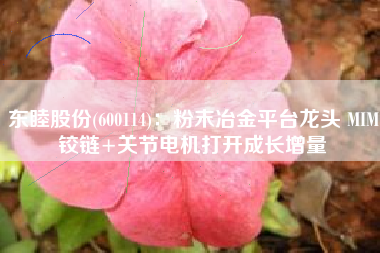 东睦股份(600114)：粉末冶金平台龙头 MIM铰链+关节电机打开成长增量