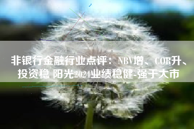 非银行金融行业点评：NBV增、COR升、投资稳 阳光2024业绩稳健-强于大市