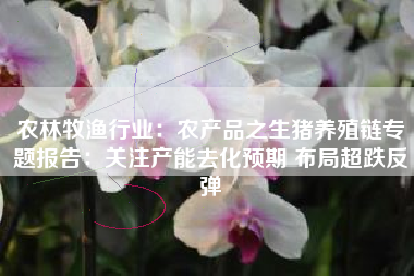 农林牧渔行业：农产品之生猪养殖链专题报告：关注产能去化预期 布局超跌反弹