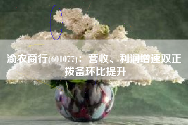 渝农商行(601077)：营收、利润增速双正 拨备环比提升