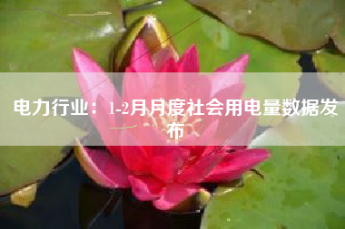 电力行业：1-2月月度社会用电量数据发布