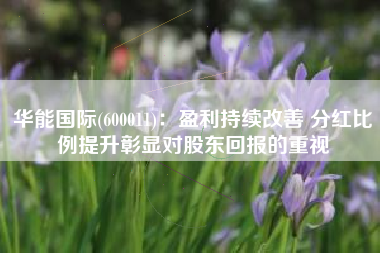 华能国际(600011)：盈利持续改善 分红比例提升彰显对股东回报的重视