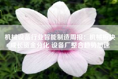 机械设备行业智能制造周报：机械板块成长资金分化 设备厂整合趋势加速