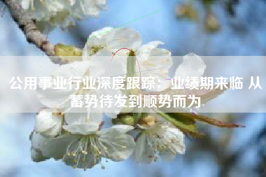 公用事业行业深度跟踪：业绩期来临 从蓄势待发到顺势而为