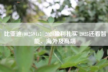 比亚迪(002594)：2024盈利扎实 2025还看智能、海外及高端