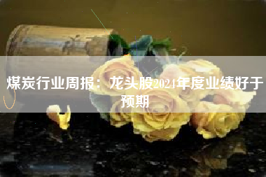 煤炭行业周报：龙头股2024年度业绩好于预期