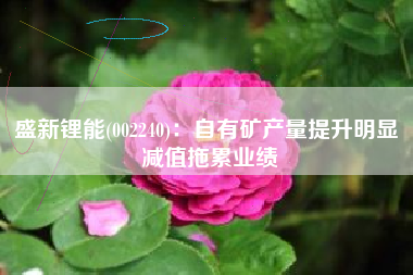 盛新锂能(002240)：自有矿产量提升明显 减值拖累业绩