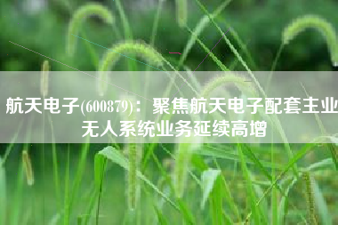 航天电子(600879)：聚焦航天电子配套主业 无人系统业务延续高增